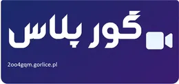 گور پلاس
